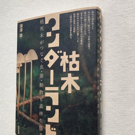 深澤遊｜枯木ワンダーランド
