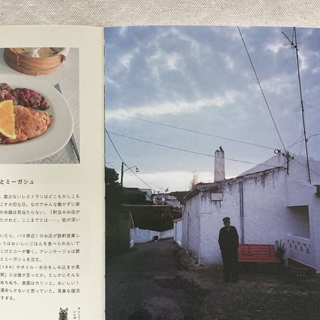 松本智秋｜旅をひとさじ