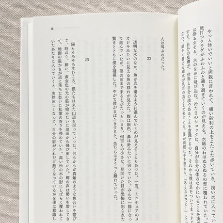 アレクサンダル・ヘモン｜ブルーノの問題