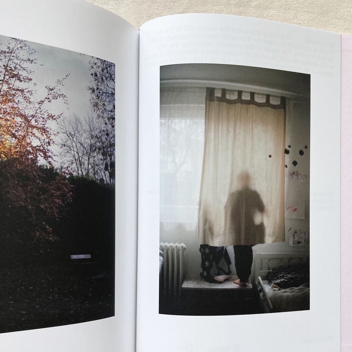 Ola Rindal｜THE CLOUD, THE BIRD AND THE PUDDLE | 曲線