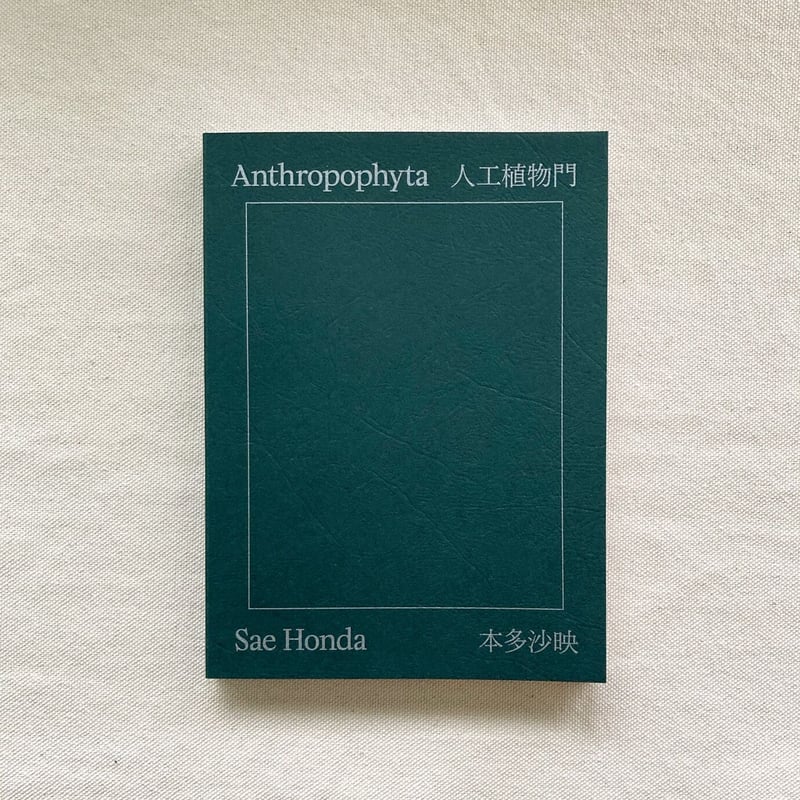 本多紗映｜Anthropophyta 人工植物門 | 曲線