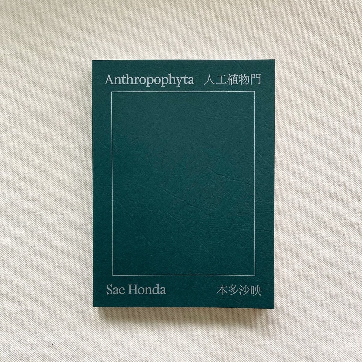 本多紗映｜Anthropophyta 人工植物門 | 曲線
