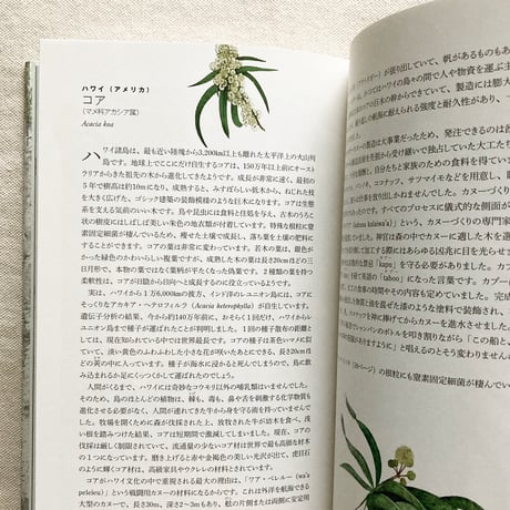 Jonathan Drori｜世界の樹木をめぐる80の物語
