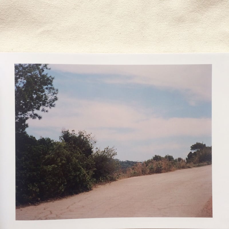 鈴木理策　写真集　知覚の感光板 鈴木理策｜知覚の感光板 | WHITEGREEN GALLERY