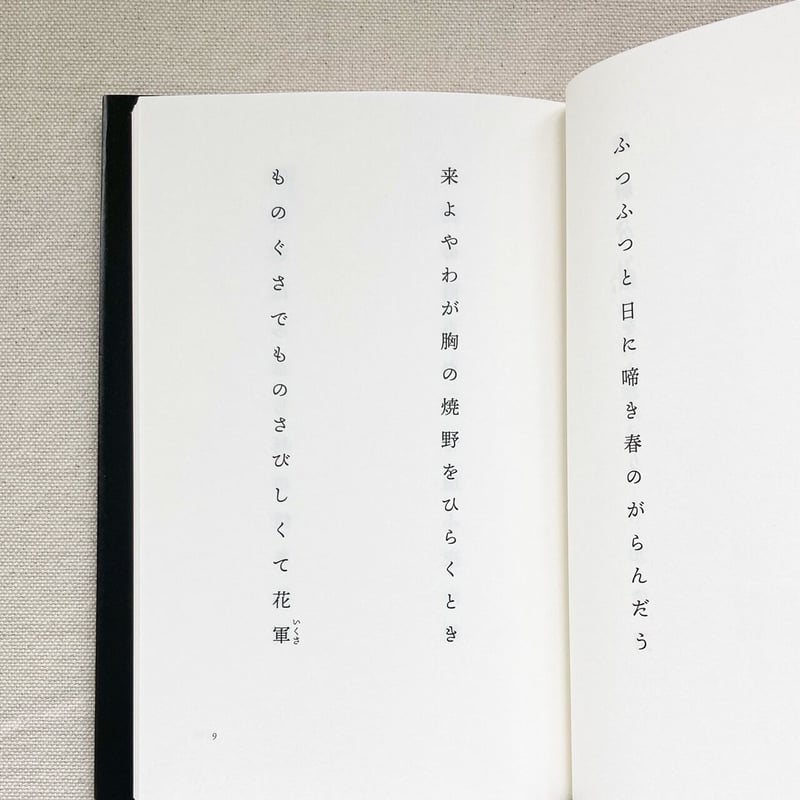 【中古】 野の花あかり 俳句ノートより/深夜叢書社/みつはしちかこ 322206000469_03.webp