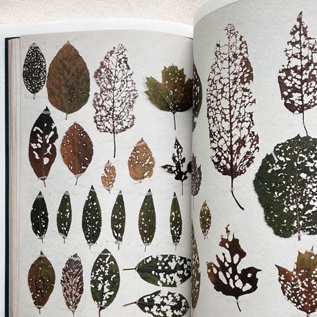 Anne Geene｜Book of Plants