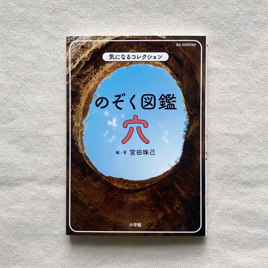 6325a488f30865085a6311ac