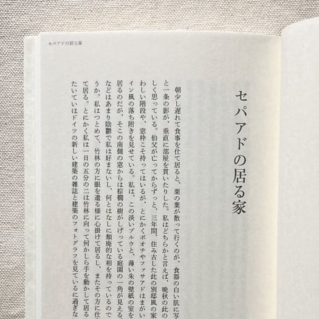 北園克衛｜白昼のスカイスクレエパア