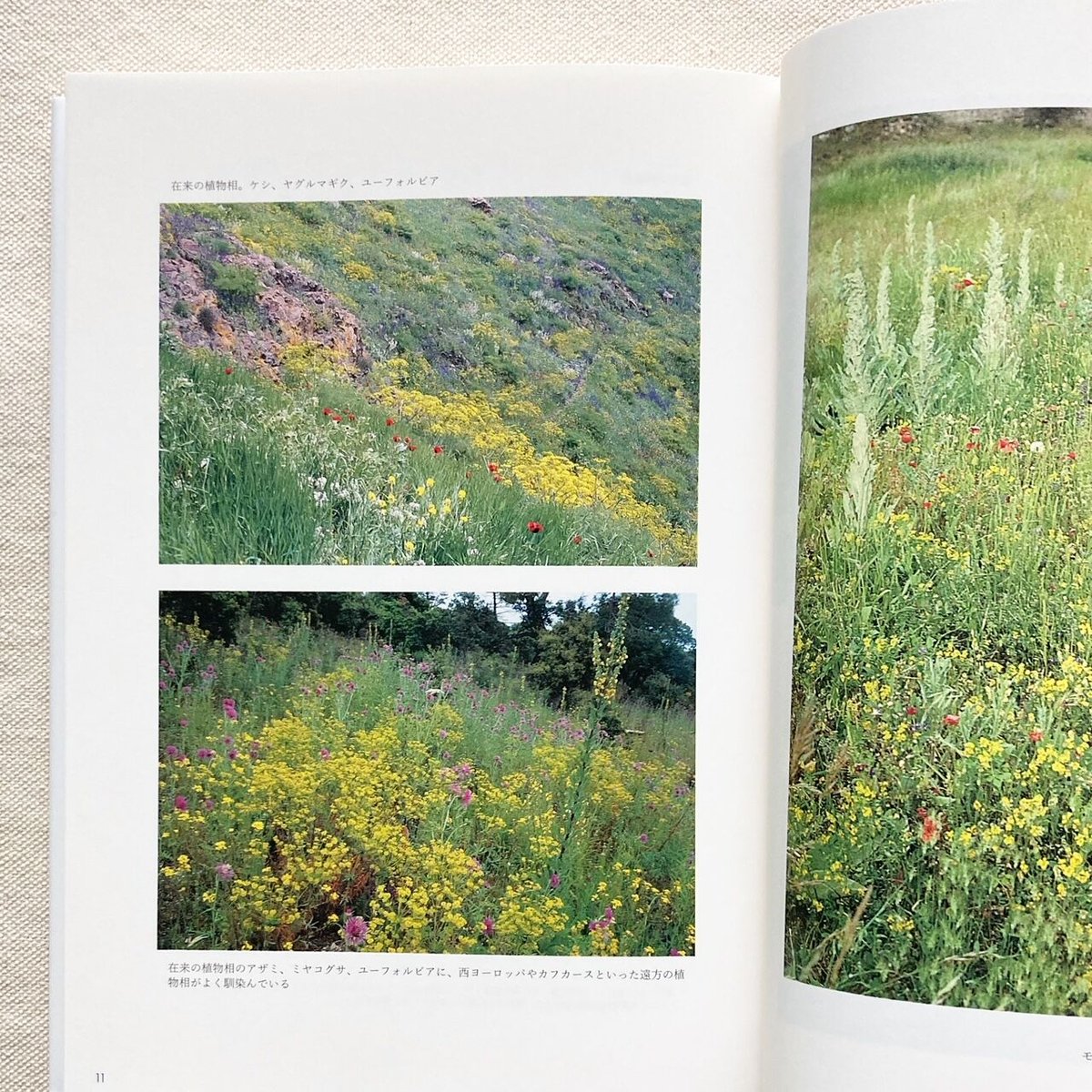 動いている庭 ジル・クレマン 動いている庭 : 作品情報・キャスト・あらすじ・動画 - 映画.com