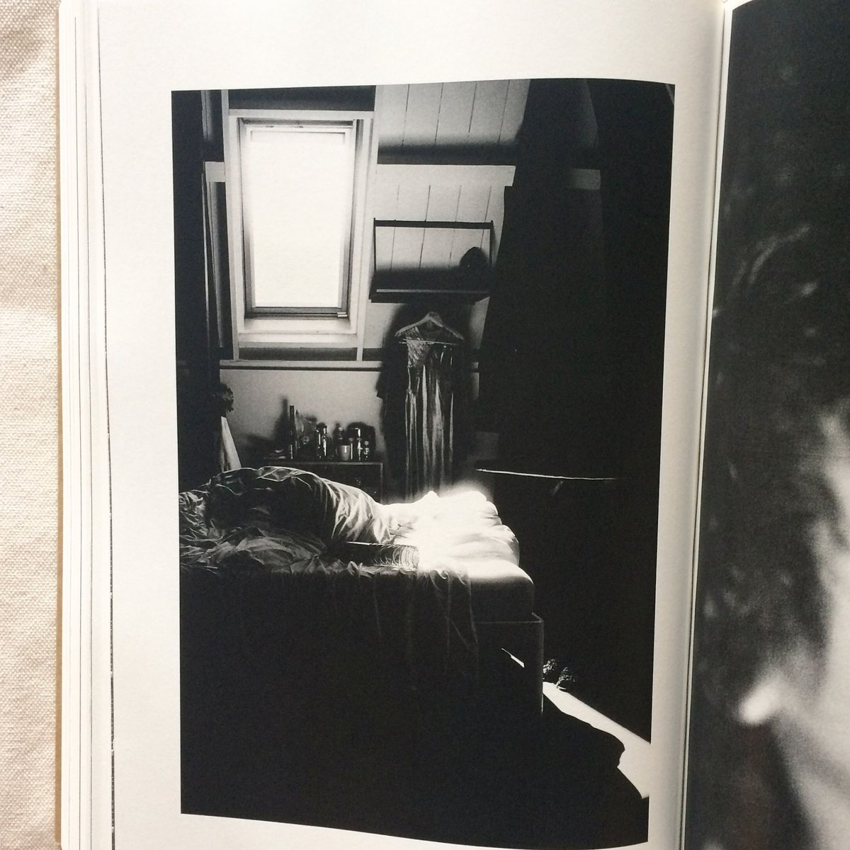 山谷佑介｜Doors | 曲線