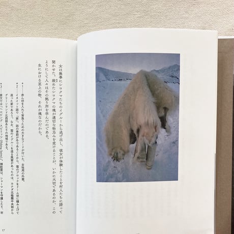 ツンドラの記憶
