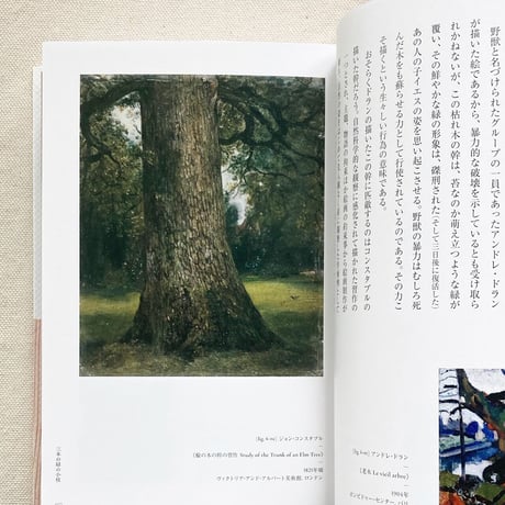 岡﨑乾二郎｜絵画の素　TOPICA RICTUS