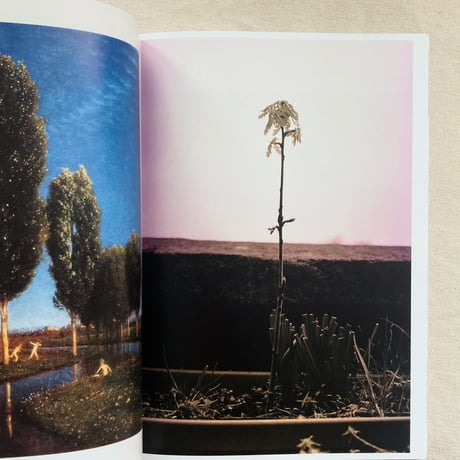 WOLFGANG TILLMANS｜THINGS MATTER, DINGE ZÄHLEN