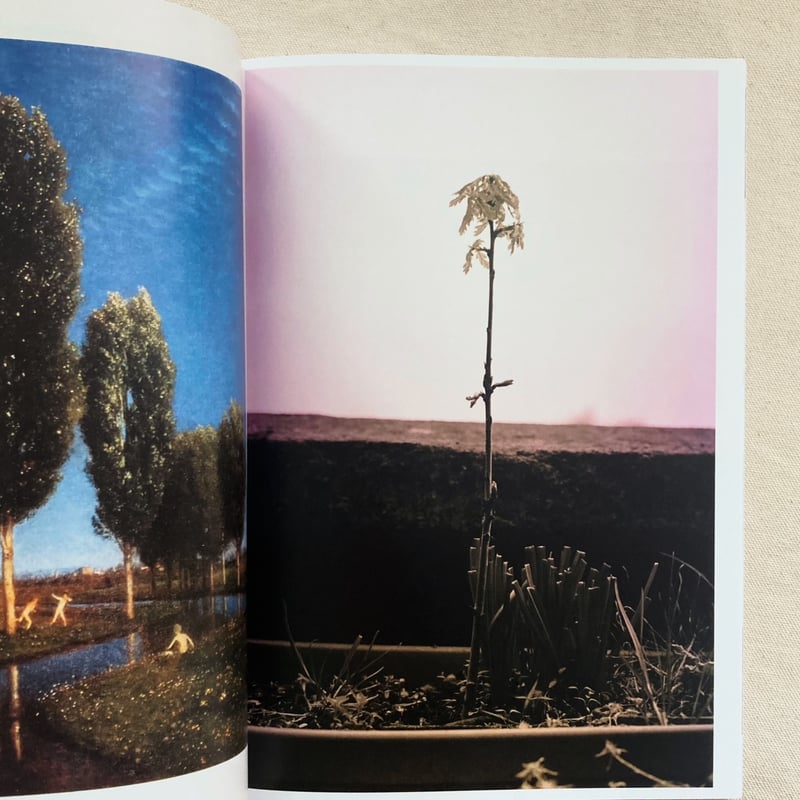 WOLFGANG TILLMANS｜THINGS MATTER, DINGE ZÄHLEN | 曲線