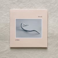 〈CD〉Salamanda｜ashbalkum