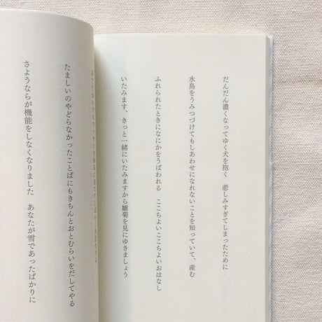 笹井宏之｜てんとろり