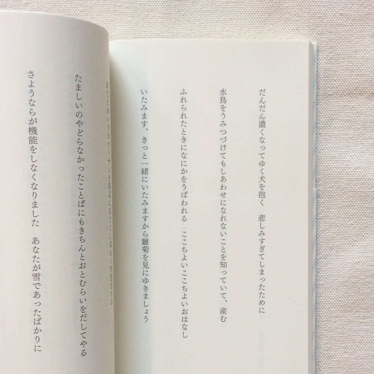 fit=scale-down,w=1200 fit=scale-down,w=1200