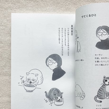 佐藤りえ｜某月好日しぴぴ日記