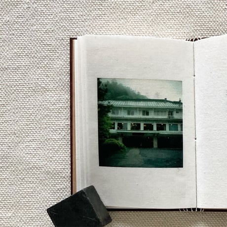 Rie Sato｜What I meant to say.