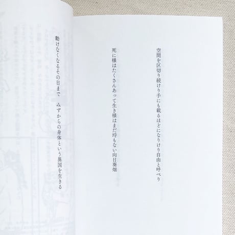 九重 3