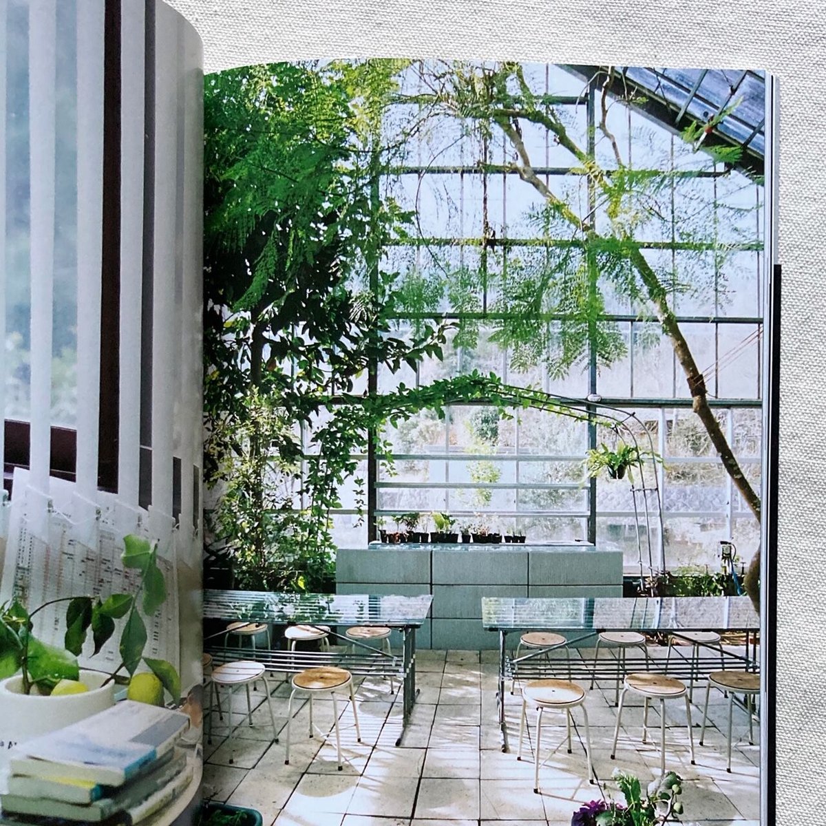 家族と一年誌「家族」2号 | 曲線