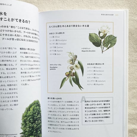 ガイ・バーター｜植物のふしぎ
