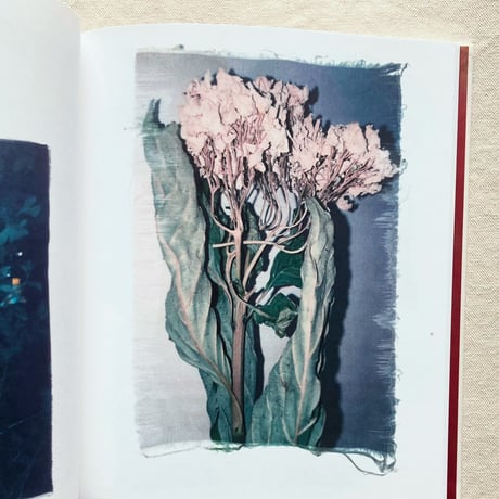 遠藤文香｜Swaying Flowers