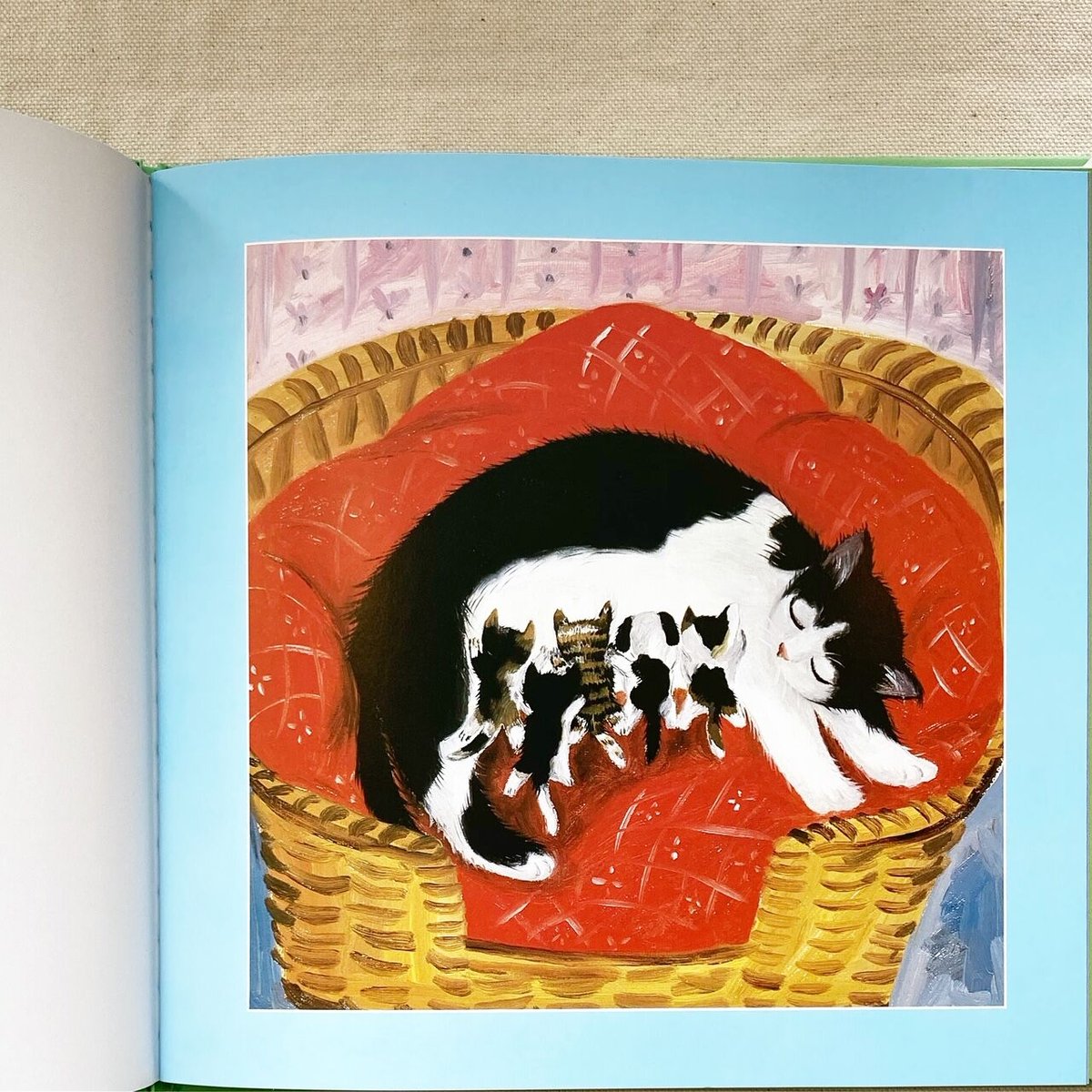 なかえよしを・上野紀子｜ねこのジョン | 曲線