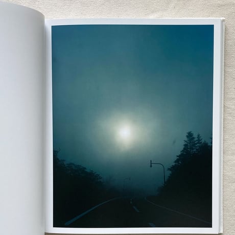 茂木綾子｜travelling tree