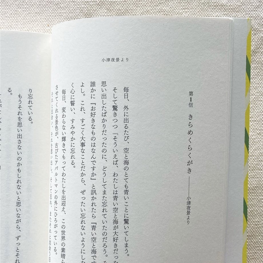 6235b65134e01752f1555381