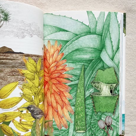 Jonathan Drori｜世界の植物をめぐる80の物語