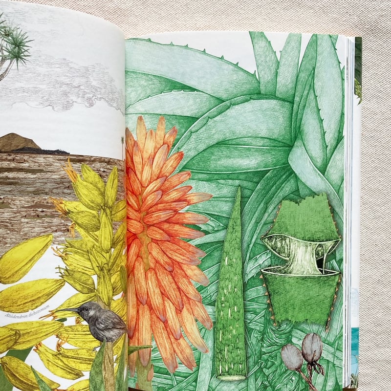 Jonathan Drori｜世界の植物をめぐる80の物語 | 曲線
