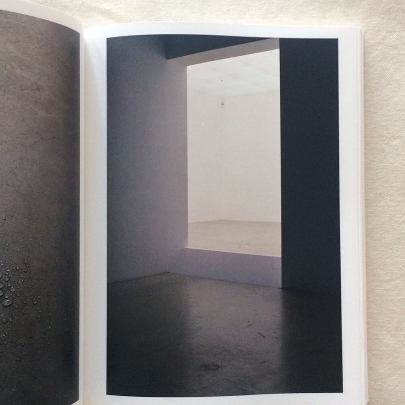 内藤礼｜うつしあう創造 | 曲線