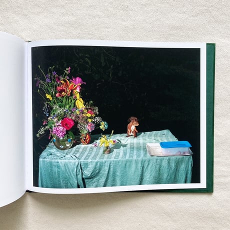 Lia Darjes｜PLATES I-XXXI