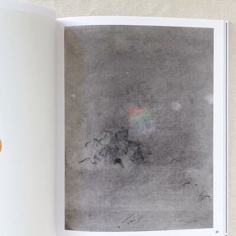 Julius Heinemann｜After image