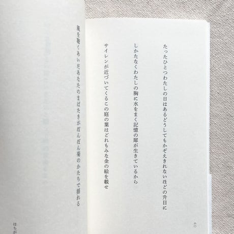 土井礼一郎｜義弟全史