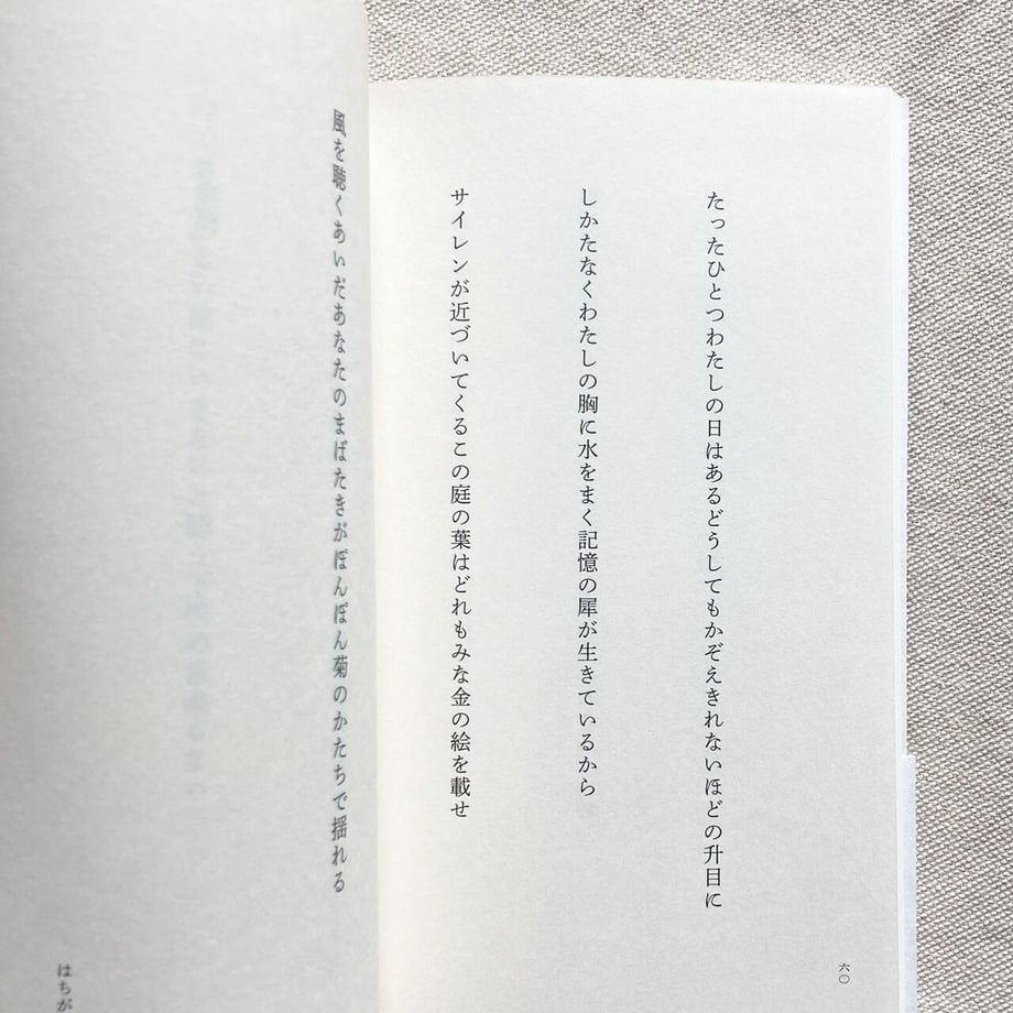 6482f6625348c5002df7a844