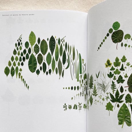 Anne Geene｜Book of Plants
