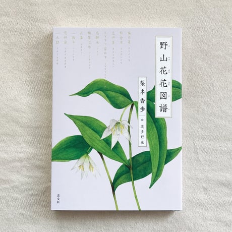 梨木香歩｜野山花花図譜