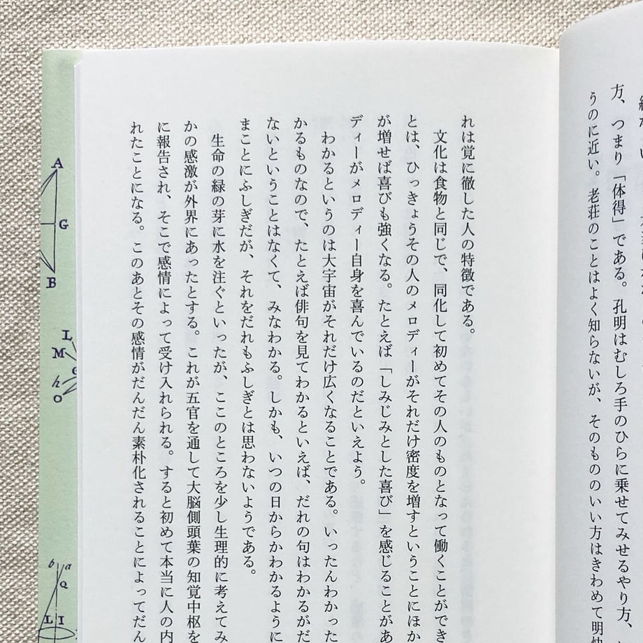 609fa69a0e24036f76378177