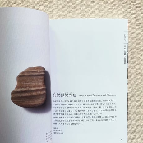 石の人｜海辺の石 〜小図鑑・見立て・石並べ〜