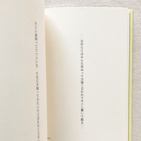 野村日魚子｜百年後　嵐のように恋がしたいとあなたは言い　実際嵐になった　すべてがこわれわたしたちはそれを見た