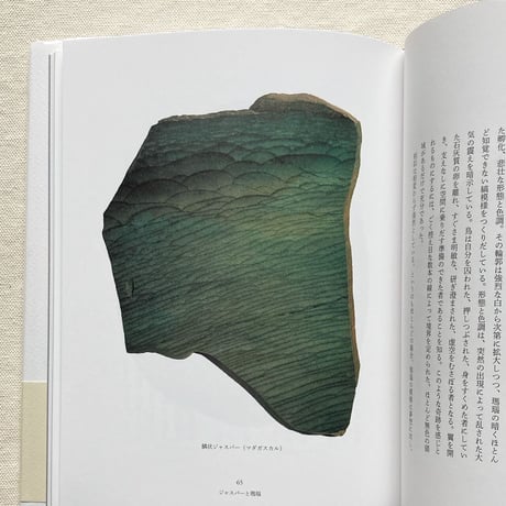 ロジェ・カイヨワ｜石が書く