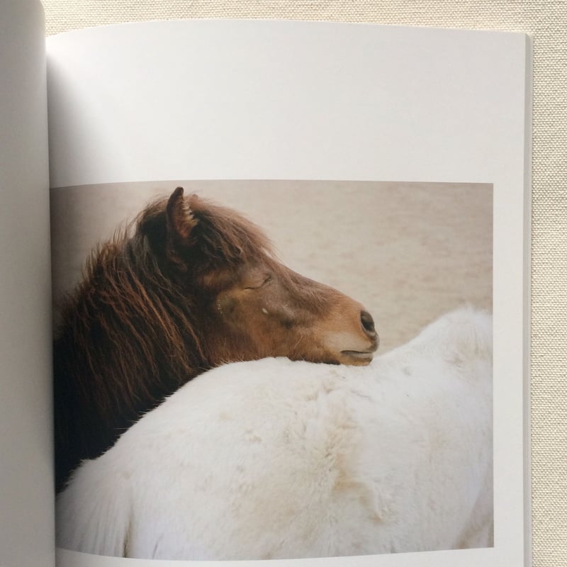 シャルロット・デュマ｜Stay | 曲線