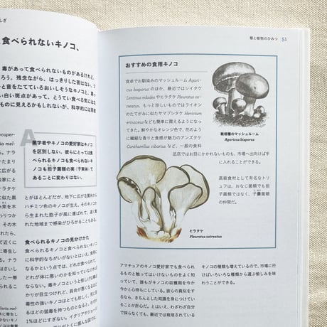ガイ・バーター｜植物のふしぎ