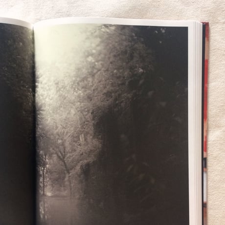 Cy Twombly｜LE TEMPS RETROUVÉ CY TWOMBLY PHOTOGRAPHE ET ARTISTES INVITÉS