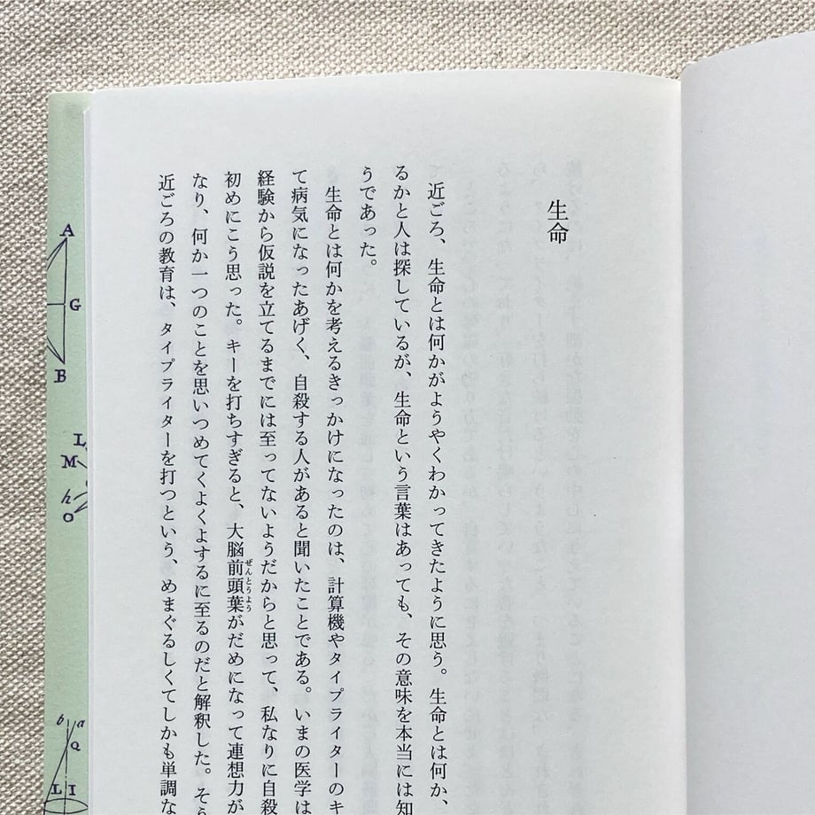 609fa69a0e24036f76378177