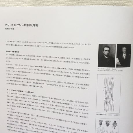 能勢伊勢雄｜MORPHOLOGY