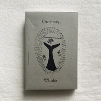 是恒さくら｜ありふれたくじら