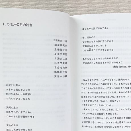 小津夜景｜カモメの日の読書